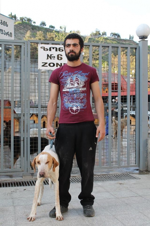 პოინტერი უსახელო