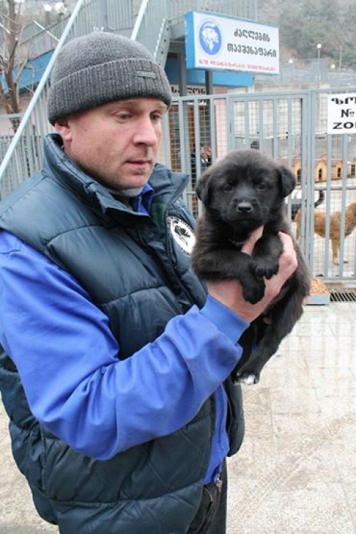 მეტისი უსახელო