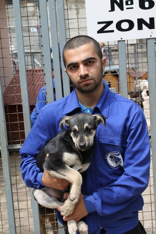 მეტისი უსახელო