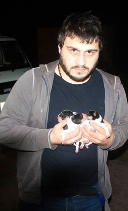 მეტისი უსახელო