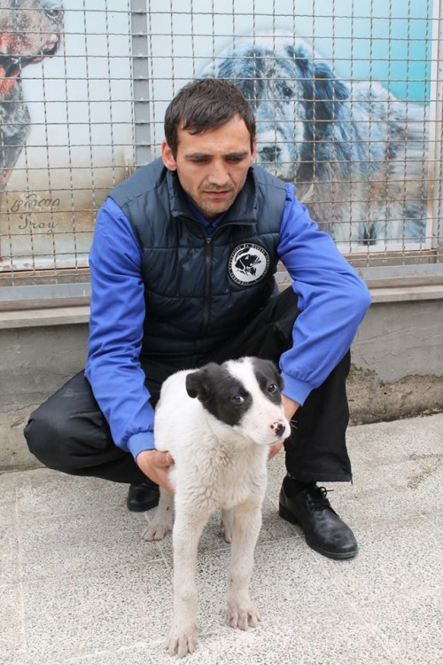 მეტისი უსახელო