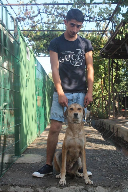 მეტისი უსახელო