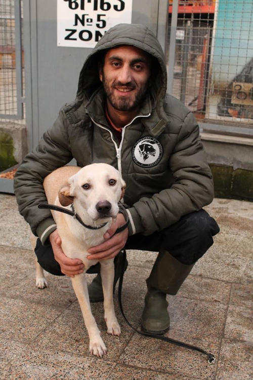 მეტისი ლაკი