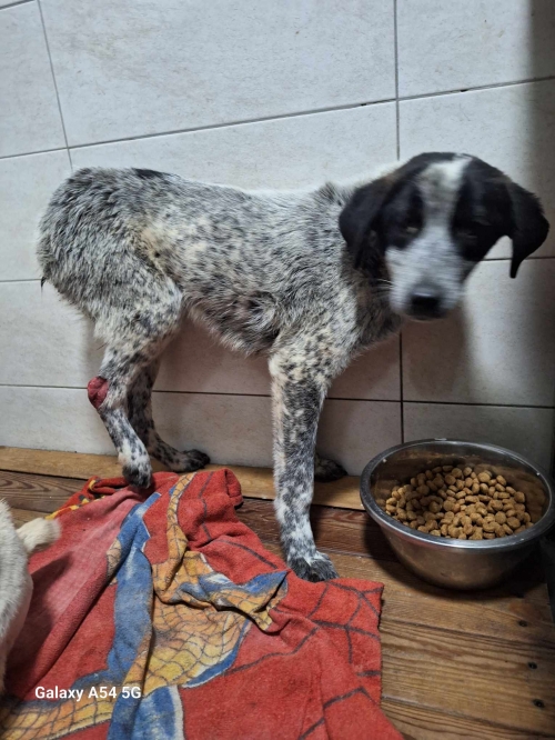 მეტისი ზღვის უბანა თემქა მე 10 ბ კვარტალი