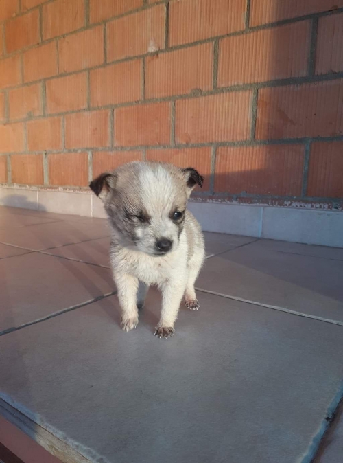 მეტისი უსახელო