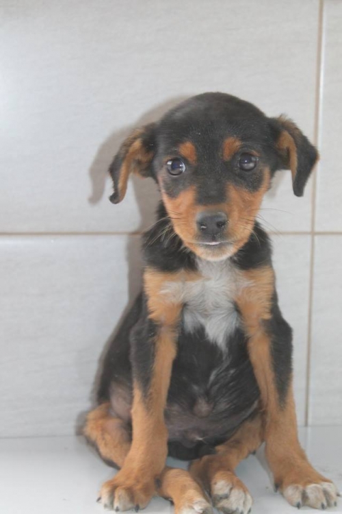 მეტისი უსახელო