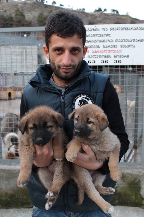 მეტისი უსახელო