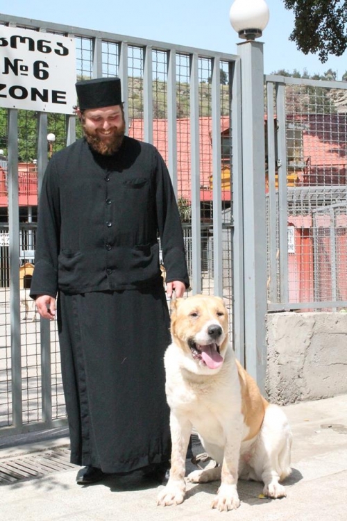 ქართული ნაგაზი ბუთა