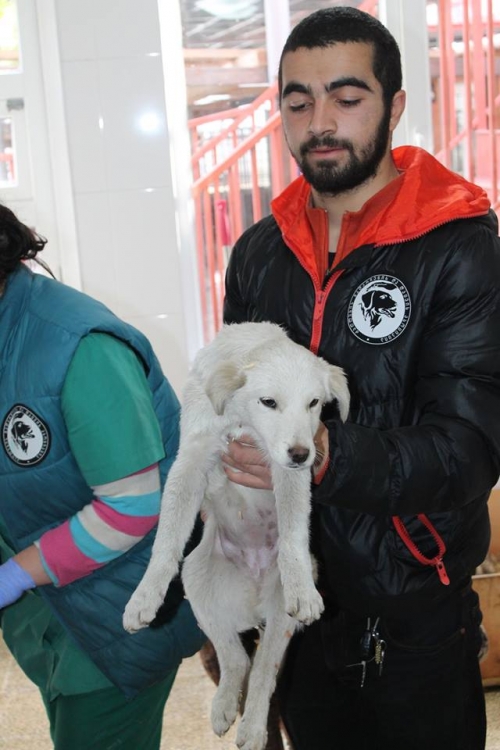 მეტისი უსახელო