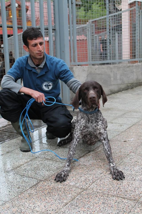კურცხაარი უსახელო