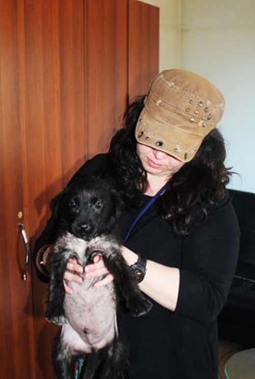 მეტისი უსახელო3