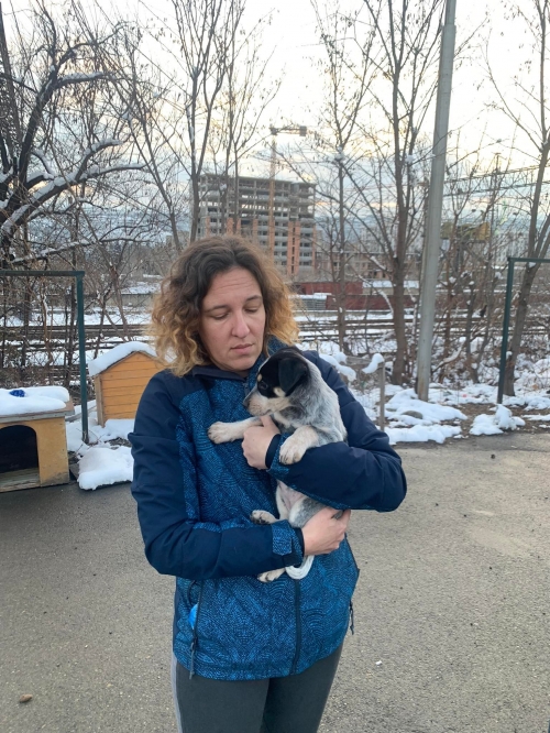 მეტისი ნაპოვნია ქოშაგორაზე