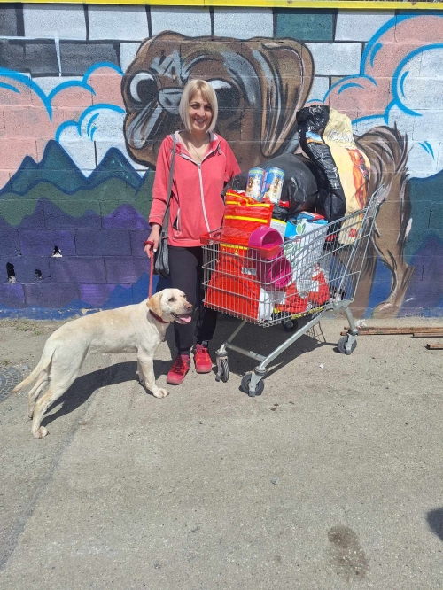 მეტისი მცხეთა ,, ლუსი,,