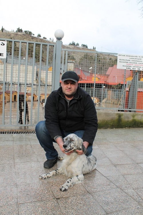 ირლანდიური სეტერი უსახელო