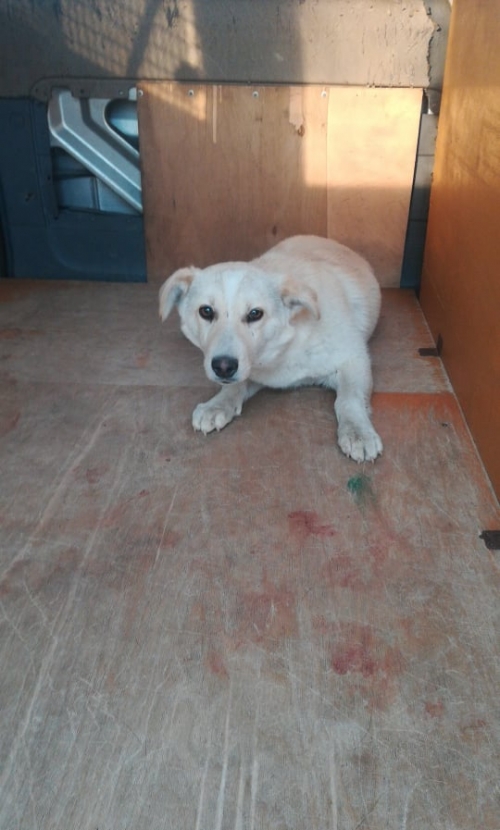 მეტისი აეროპორტის გზა