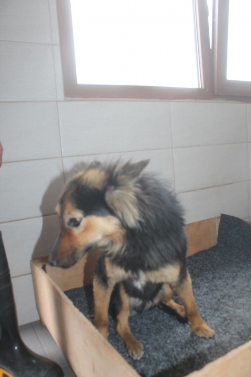 მეტისი უსახელო