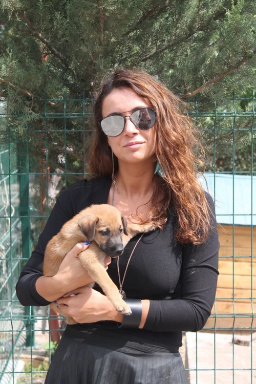 მეტისი უსახელო