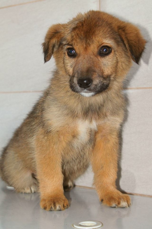 მეტისი უსახელო