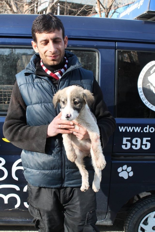 მეტისი უსახელო