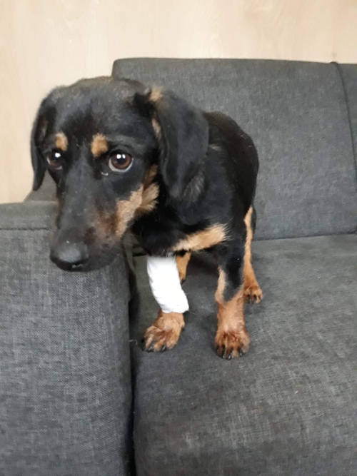 მეტისი უსახელო