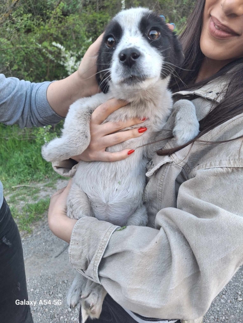 მეტისი ნაპოვნია საგარეჯოში