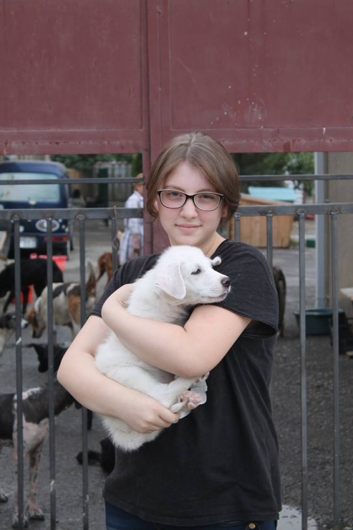 მეტისი უსახელო