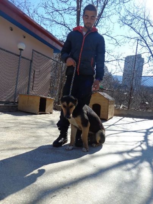 მეტისი უსახელო