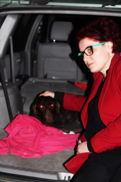 დრათხარი უსახელო