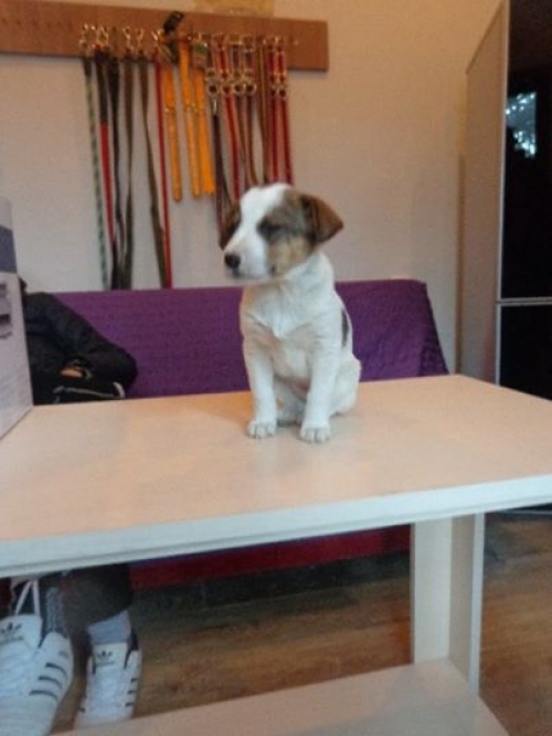 მეტისი უსახელო