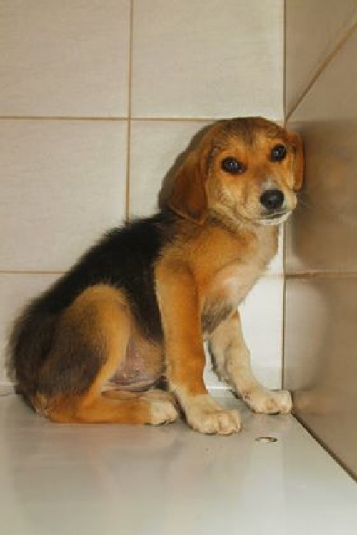 მეტისი უსახელო