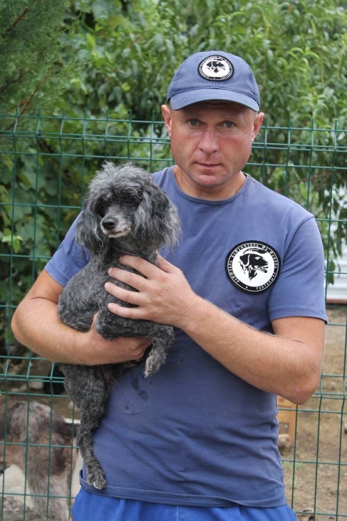 პუდელი უსახელო