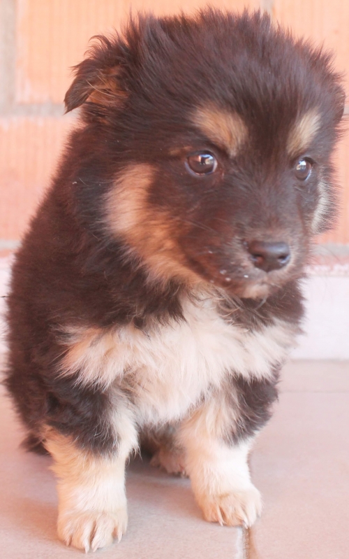 მეტისი უსახელო