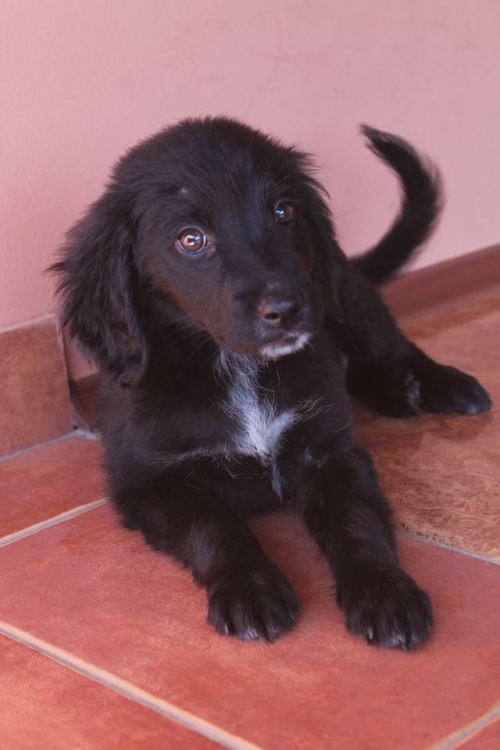 მეტისი უსახელო