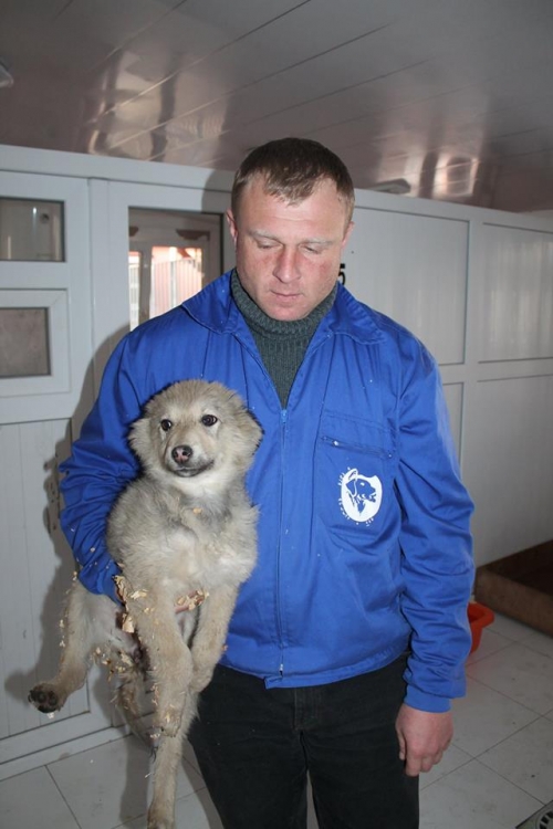 მეტისი უსახელო