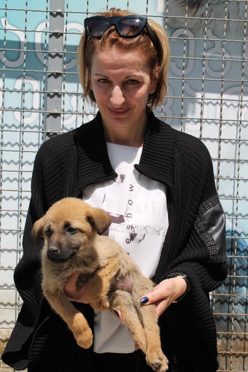 მეტისი უსახელო