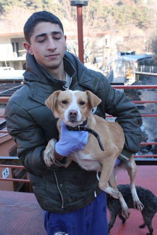 მეტისი უსახელო