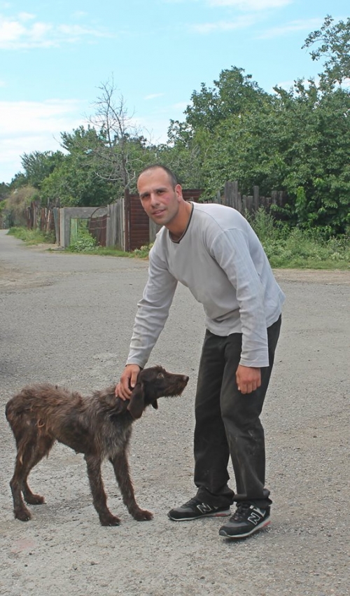 დრათხარი დოლი