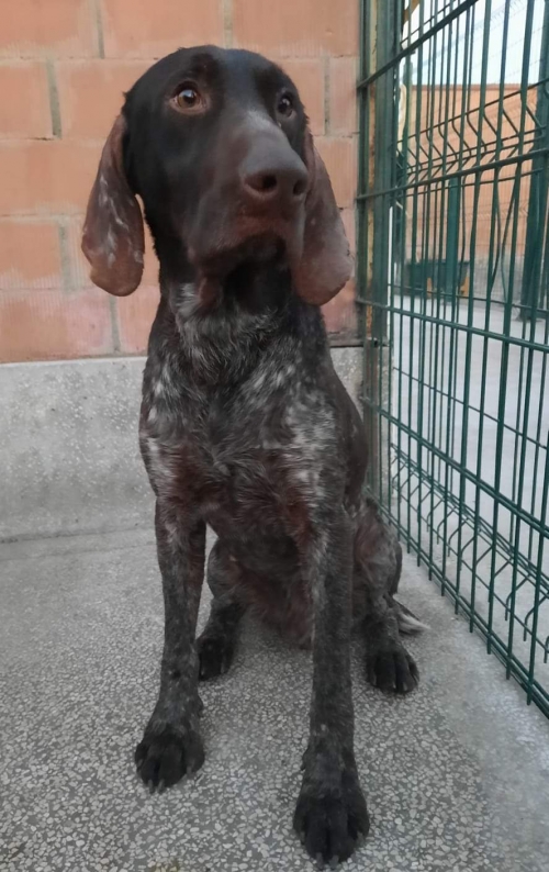 დრათხარი ფეიქრების ქუჩა