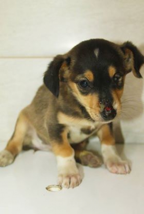 მეტისი უსახელო