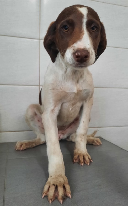 მეტისი მუხიანი მე 2 მიკრორაიონი