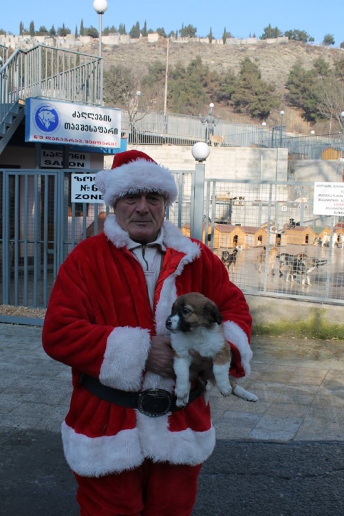 მეტისი უსახელო