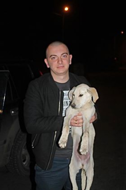 მეტისი უსახელო