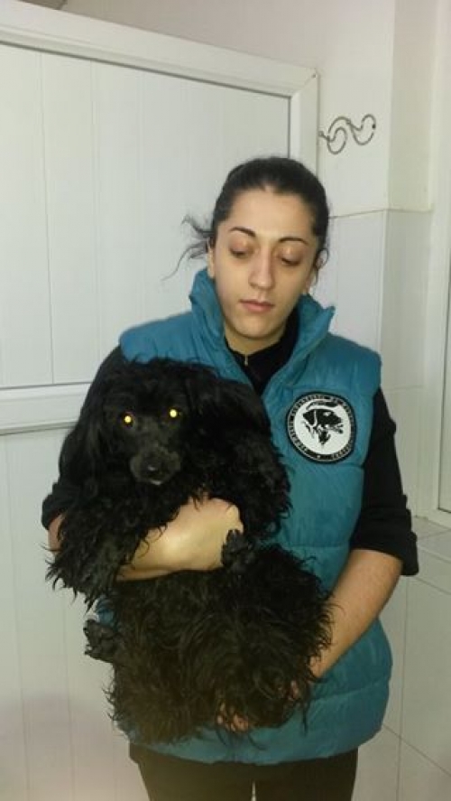 ბალონკა უსახელო