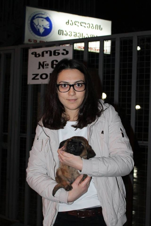 მეტისი უსახელო