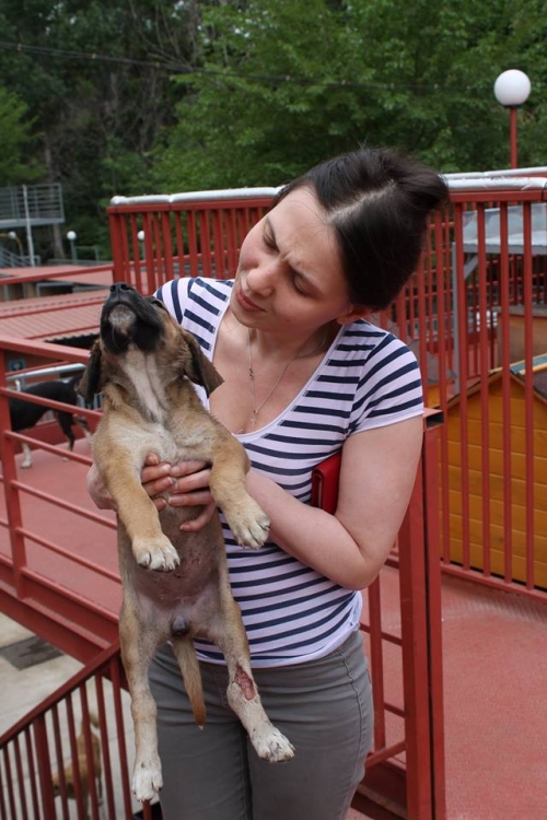 მეტისი უსახელო