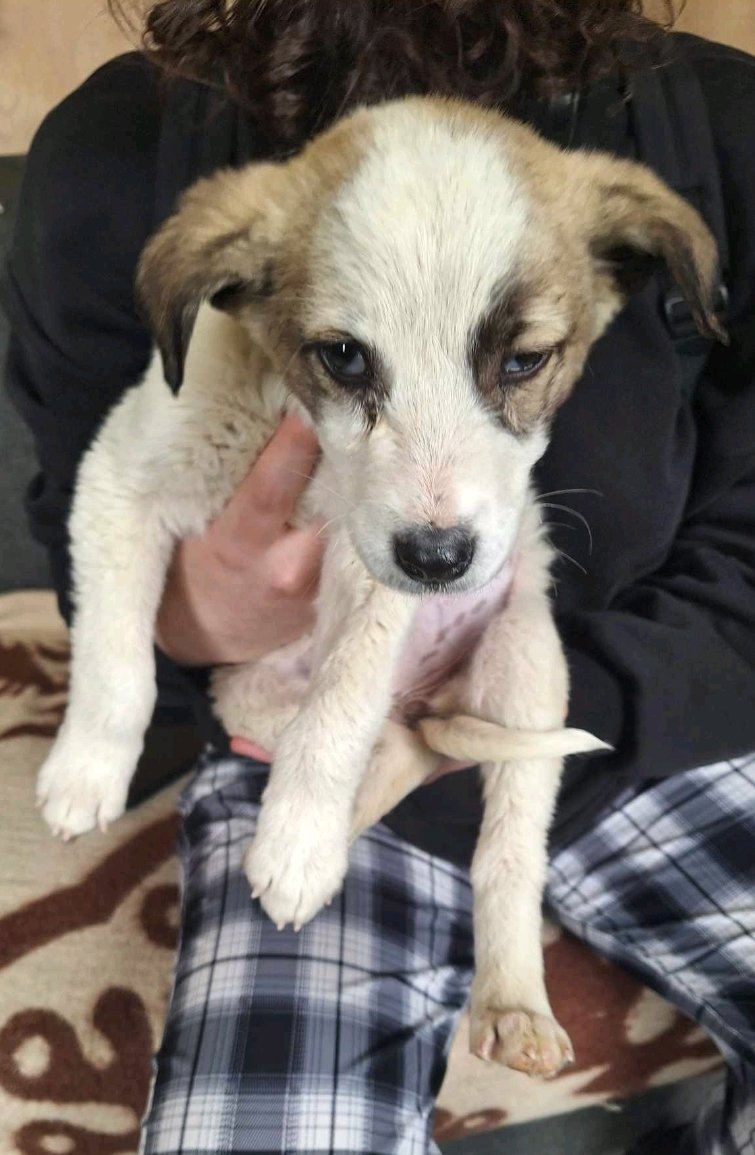 მეტისი. ქინძმარაულის ქუჩა.