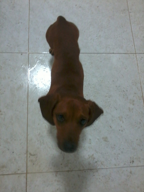 ტაქსა უცნობი