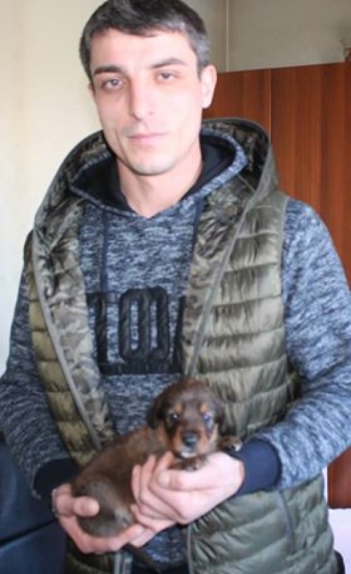 მეტისი უსახელო