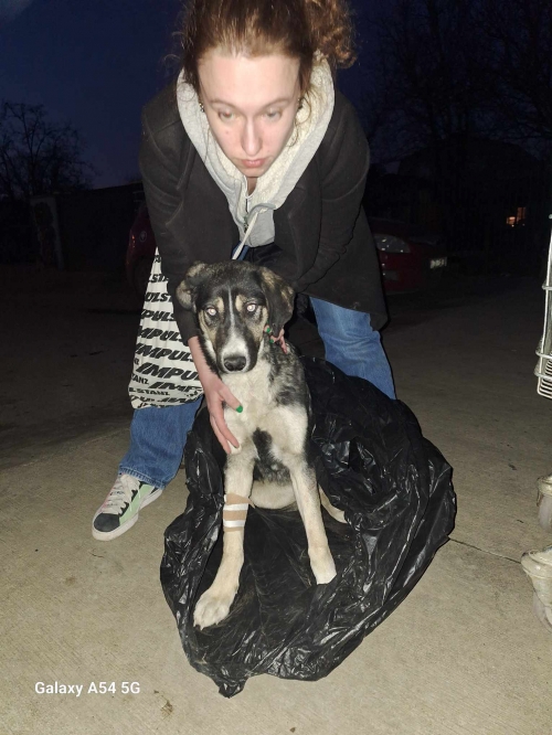 მეტისი მეტრო მარჯანიშვილი