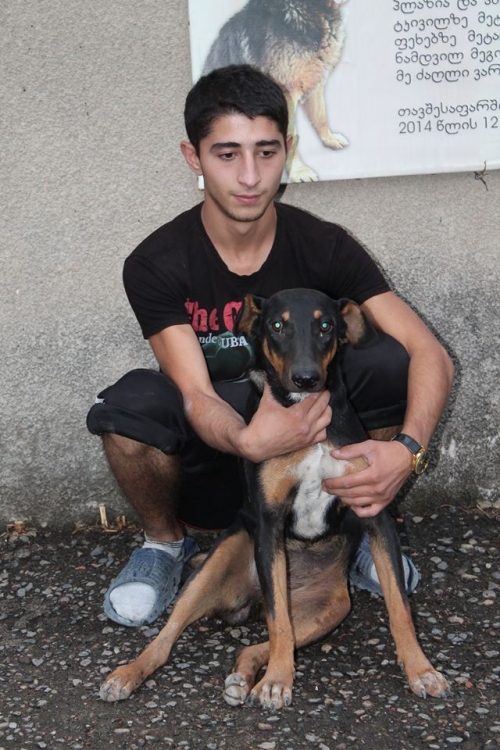 დობერმანის მეტისი უსახელო